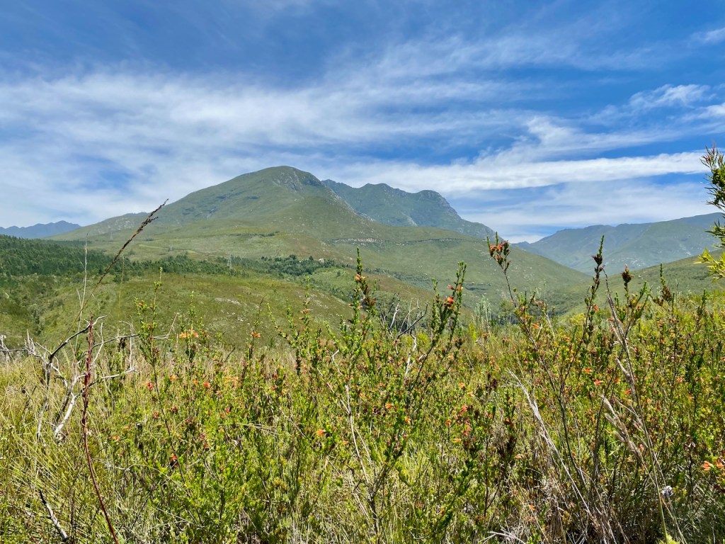 Stunning Outeniqua Mountain views