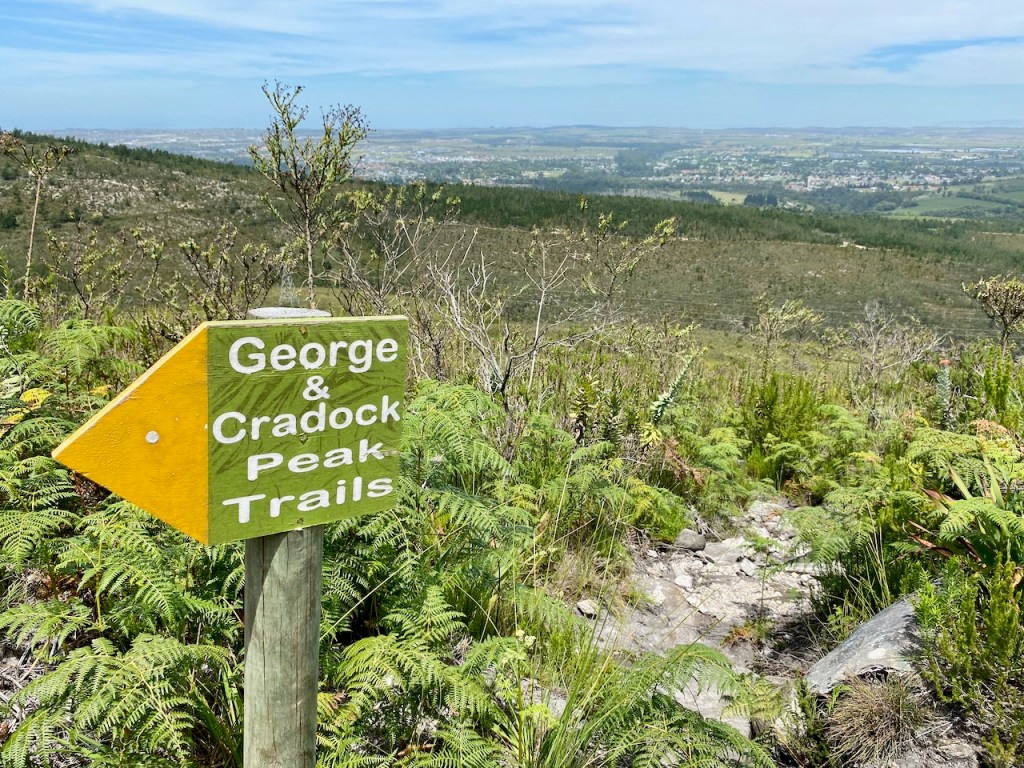 George Town from the Tierkloofpad hiking trail in Outeniqua Nature Reserve