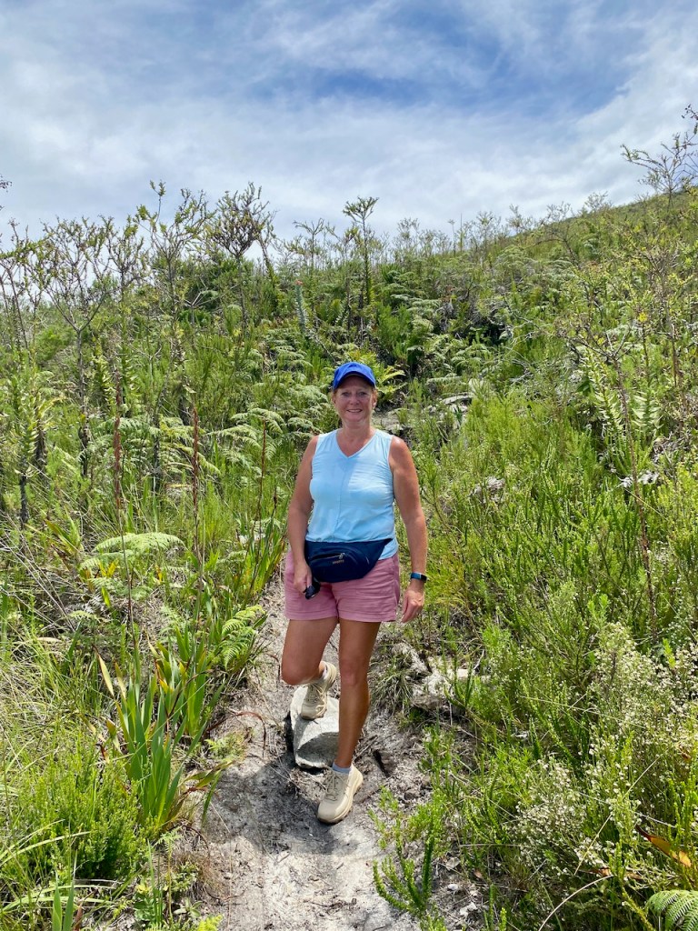 Fern forest in the Outeniqua Nature Reserve
