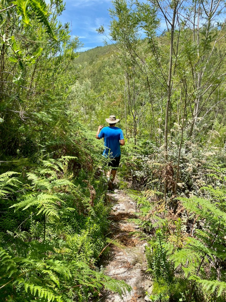 An intrepid explorer