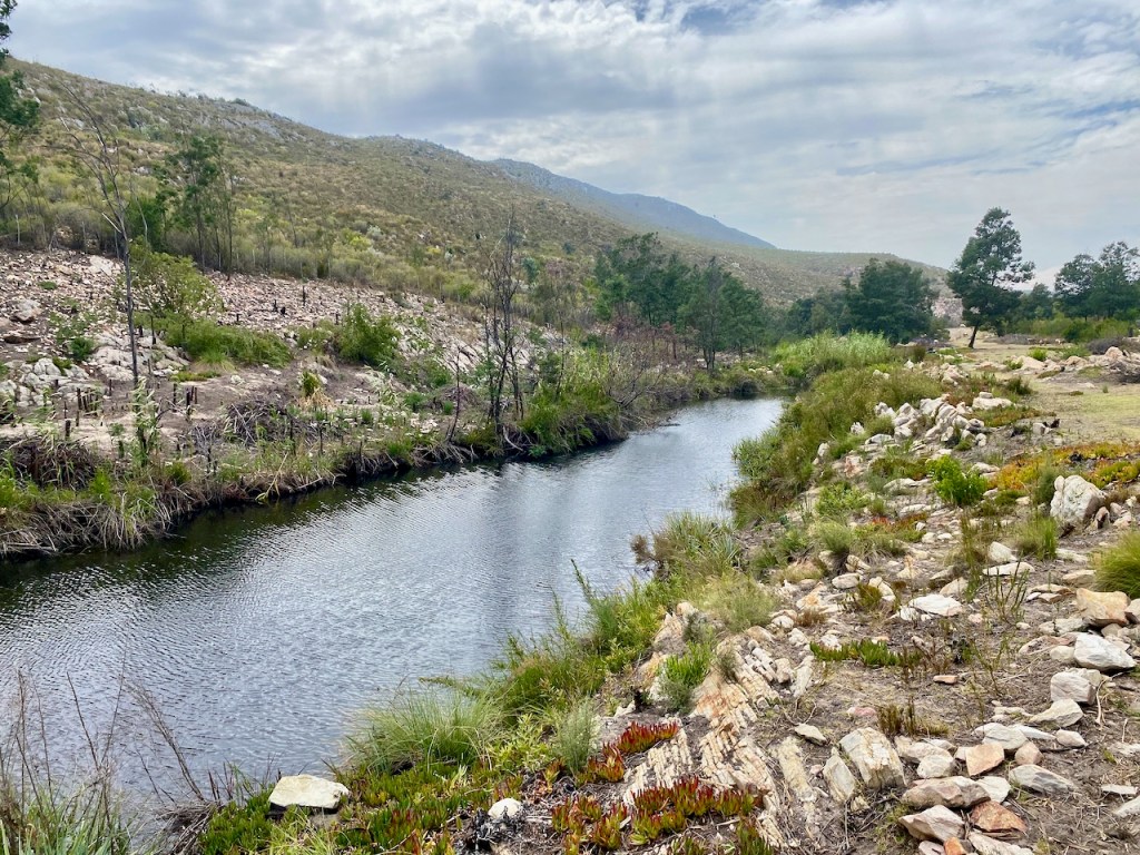 River running through Breathe Karoo in the Klein Karoo