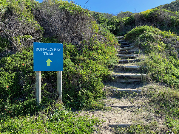 Buffalo Bay Trail hiking route