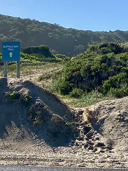 Buffalo Bay Trail hiking route