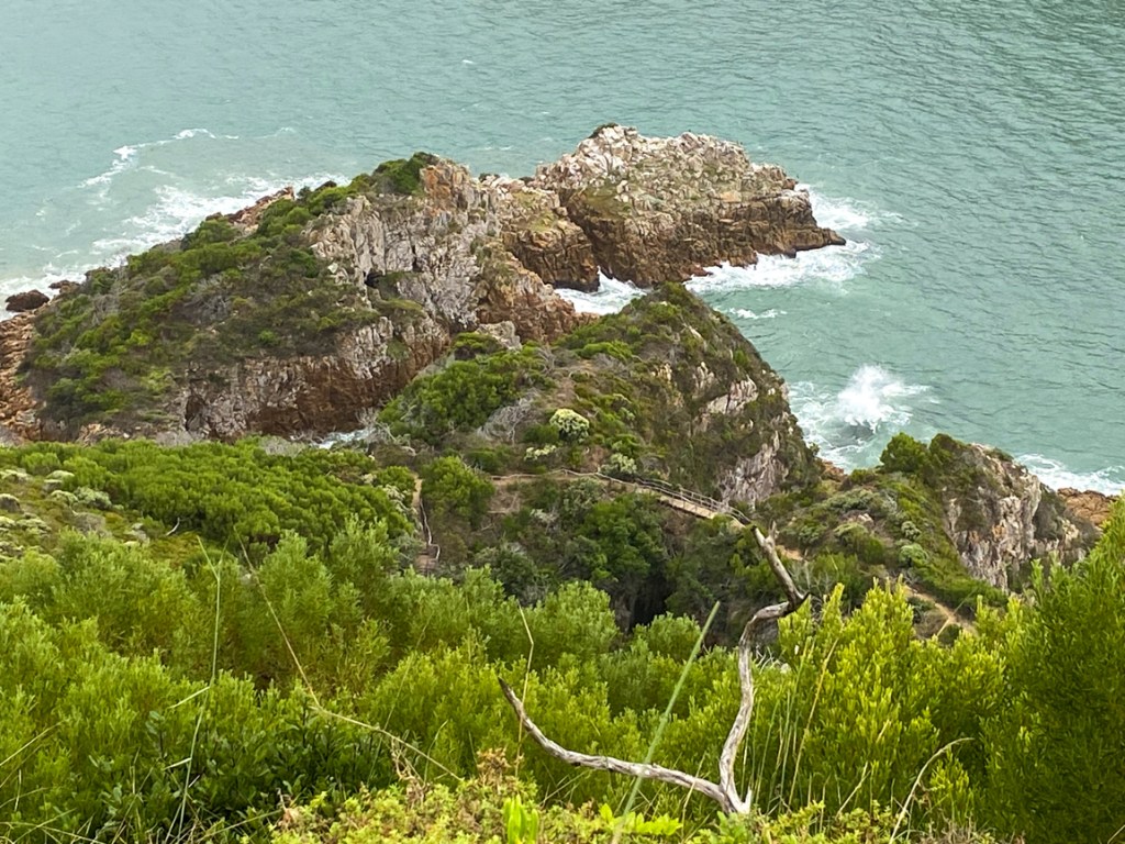 Featherbed Eco Experience with Garden Route Unearthed