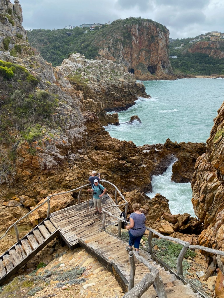 Featherbed Eco Experience with Garden Route Unearthed