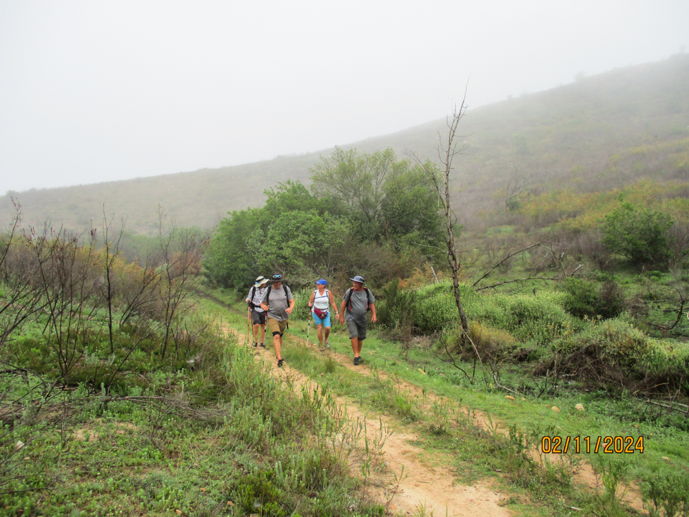 Misty start in antie se Pad