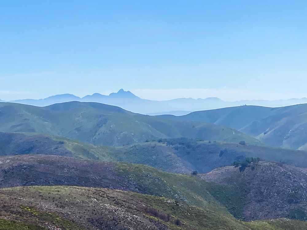 Cockscomb Mountain in the distance