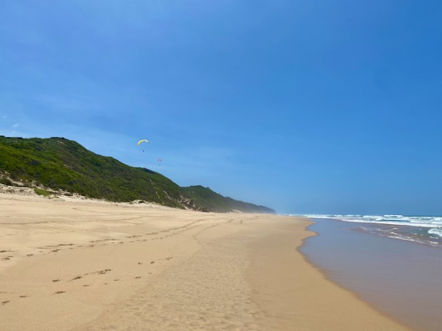 New Year’s Day, 2025 beach&nbsp;walk.