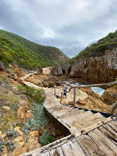 Featherbed Eco Experience with Garden Route Unearthed